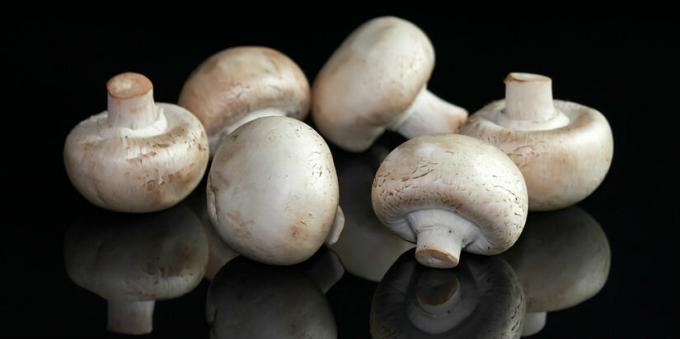 Sopp - champignon mushroomy