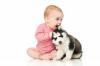 Hund og baby: reglene for gjensidig tilpasning