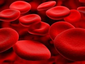 Matvarer som tynne blodet og forhindre blodpropp