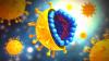 Hepatitt C virus: hvordan å unngå smitte?