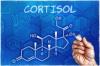 Hele sannheten om cortisol: hvordan å støtte viktigste hormonet i kroppen