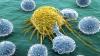 Hvordan naturen bidrar til å bekjempe kreft
