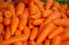 Barns komplementære matvarer: hvordan introdusere gulrøtter i barnemat
