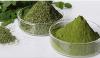 Moringa - en plante som forebygger helseproblemer!