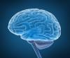 De første symptomer på en hjernesvulst
