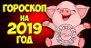 Horoskop for hvert tegn på dyrekretsen i Year of the Pig