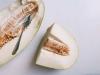 Frodig melon Charlotte: oppskrift trinn for trinn