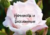 12 nyanser donert roser og deres betydning