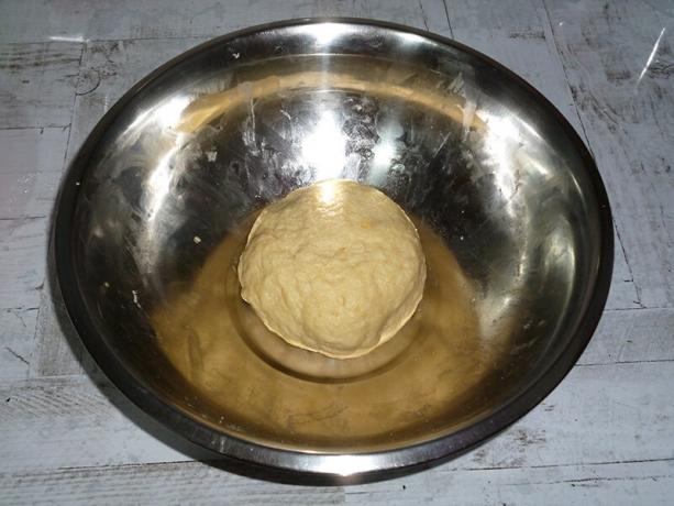 Cookie dough "Gata"
