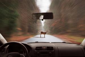 Drivere se opp for road: 3 store risikofaktorer
