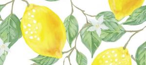 Lemon - fortsatt sure eller alkaliske matvarer?