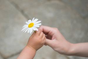 8 gode måter å lære barnet å si "takk": Psykolog Board