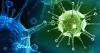 Virus: hvordan kroppen vår kjemper mot dem?