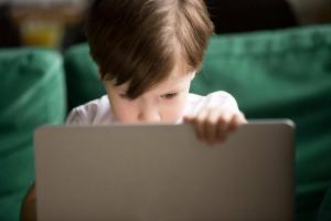 Feller i nettet: TOP-10 regler for sikker online atferd for barn
