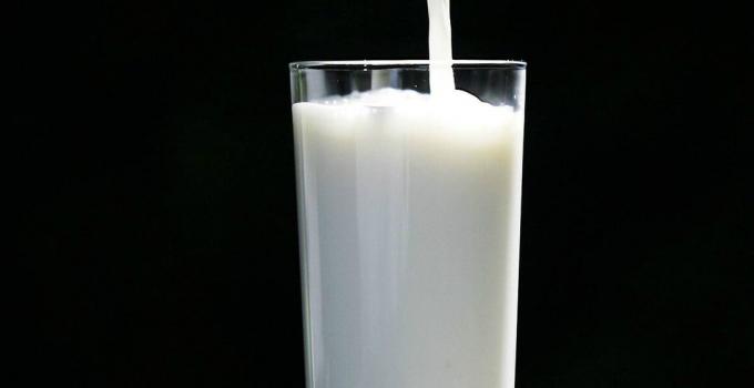 Melk - melk