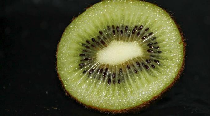 Kiwi frukt - kiwi