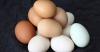 Fordrevet myten om den kontroversielle skade egg