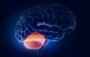 En tumor fra lillehjernen: patologiske symptomer