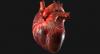 10 produkter som har en positiv effekt på hjertet
