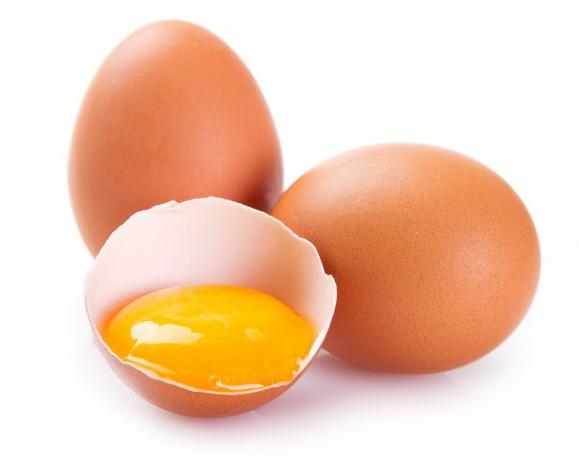 kylling egg